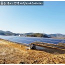 명당 태양광발전소 이미지