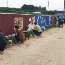 봉황거리 벽화 이미지