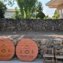 자파리203 이미지