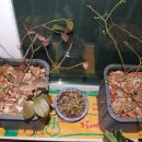 야지농장 이미지