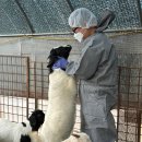 경기도 북부동물위생시험소 이미지