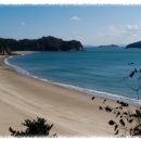 단지장골 이미지