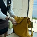 시즈오카 여행::후지산과 녹차가 함께하는 힐링 타임 &#39;젠케이노차노마(全景の茶の間)&#39;