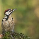 마곡세탁 이미지