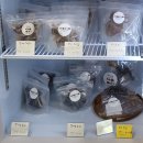 하비몽몽 | 이천강아지수제간식 하비몽몽, 건강하게 만들고 기호성도 좋아요