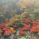 송정백숙식당 네이버블로그