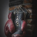 동양복싱아카데미 이미지