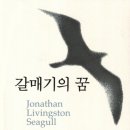 분당, 성남지역/10월26일 일요일 오후 4시/ 갈매기의 꿈/ 알리오 본점 이미지