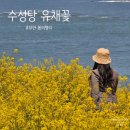 수성당 | 5월에 꼭 가봐야 할 봄 여행지 부안 수성당 유채꽃밭 (주차장 입장료 무료)