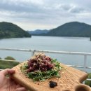 클럽멤피스글램핑 | 충주 뷰맛집 가성비 글램핑장 ‘클럽멤피스 글램핑앤리조트’ 솔직후기