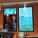 제주도 먹거리 파리바게트 몽생이샌드 가격 칼로리 파는곳 후기