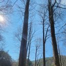 삼성산목장 이미지