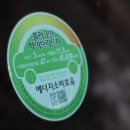 아우디A7 55TFSI e 플러그인 하이브리드 시내 및 고속도로 연비 측정 후기