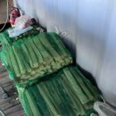 어도숲 캠핑장 이미지