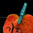 언제나,예쁘다 이미지