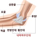 춘양삼성의원 이미지