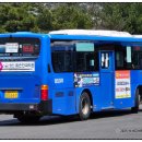 대촌1리마을회관 이미지