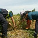 황등파출소 이미지