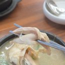 사직동 Daum카페