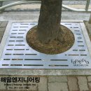 [해담] 압연디자인수목보호판,가로수보호판의 모든 것 이미지