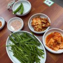 덕진-39 | 버스터미널 맛집 조점례남문피순대 금암점 전주 전북대 맛집 내돈내산 솔직후기 , 주차 웨이팅 유아의자