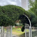 돌샘 | 둔산동 카페 추천 ‘사생활 돌샘점’ 내돈내산 재방문 후기 | 대전 카페 추천 | 둔산동 디저트 카페