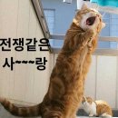 탑동전노래연습장 이미지