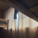 빌레낭 | 나홀로 제주여행 2일차 - 제주 일반인 개인 스냅 숨고 후기 + 제주 빌레낭