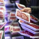 위드코리아 이미지