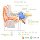 노인성난청 presbycusis , 老人性難聽( 출처 : 국가정보 포털) 이미지