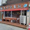 동산항물회 속초점 | (내돈내산)강릉 동산항 물회 후기