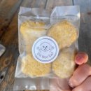 멍고 | 울산 동구 애견카페 수제간식맛집 멍클라쓰 멍고