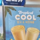 무주읍101 | 260. 빽다방 아이스 카페라떼 1천원 이벤트 (ft. 6월 5일~7일 할인행사 내돈내산 구매후기)