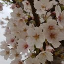 향남2지구 체육공원 이미지