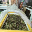 신천일회관 이미지