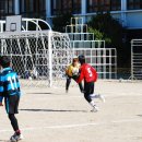 금정초등학교 이미지