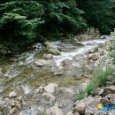소백산자락길 제7코스 이미지