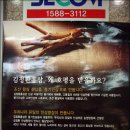 풍기인삼유통 Daum카페