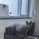 그루머스 스튜디오 이미지