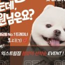 익스트림짐 네이버블로그