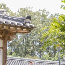 그리고경주 이미지