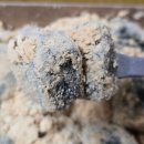 우리-다-가치 | 당일생산 당일판매하는 의정부 떡카페 추천 우리가치떡 방문 후기