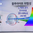울산광역시안경사회 이미지