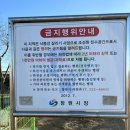 본포수변공원(주차장) | 창원 본포수변공원 노지캠핑🤧❄️/ 솔직후기