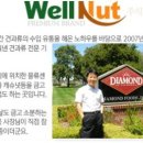 (주)웰넛