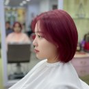 헤어두비취 이미지