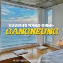 테라스마크 | [내돈내산] 강릉 여행 필수 코스 | 테라스마크 숙소 솔직 후기 + 중앙시장 맛집 총정리