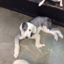 원더우멍 이미지