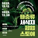신비 스토어 몰 티스토리