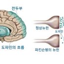 발효명가서초한의원 이미지